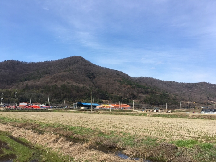 전라남도 진도군 고군면 향동리 316 외 4필지 단독주택 경매 사진 43