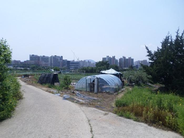 강원특별자치도 원주시 행구동 1655-4 전 경매 사진 18
