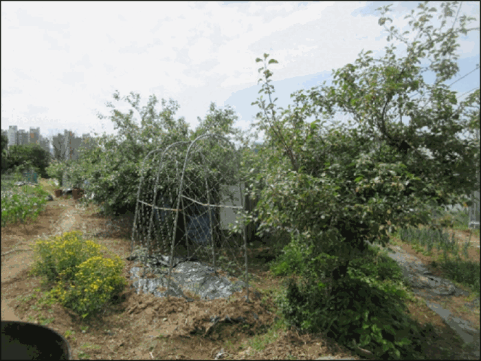 강원특별자치도 원주시 행구동 1655-4 전 경매 사진 30