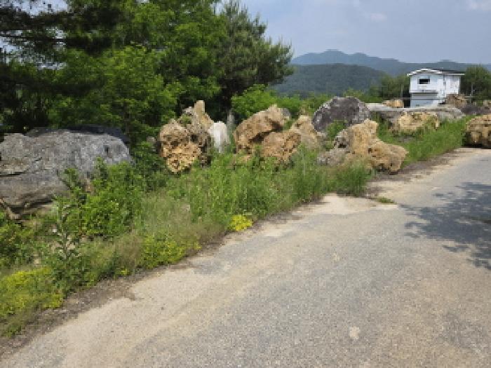 충청북도 제천시 백운면 원월리 293-14 외 3필지 근린생활시설 경매 사진 19