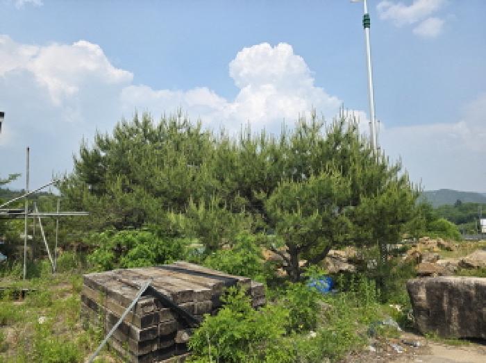 충청북도 제천시 백운면 원월리 293-14 외 3필지 근린생활시설 경매 사진 27