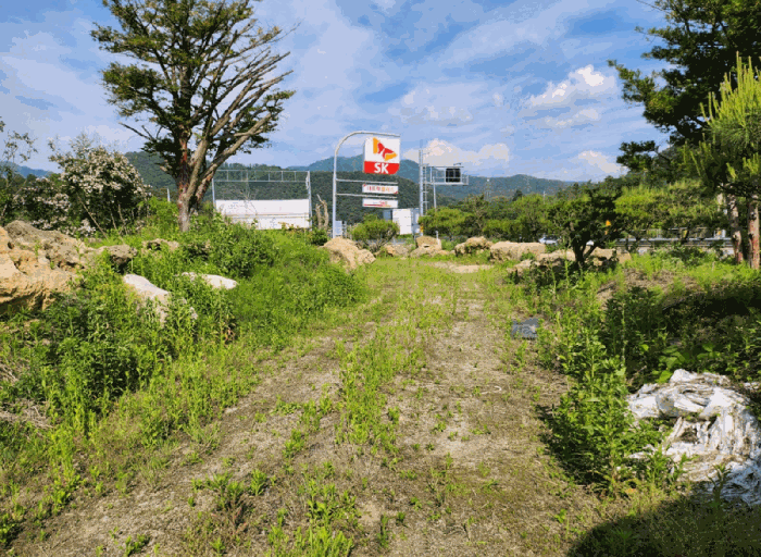 충청북도 제천시 백운면 원월리 293-14 외 3필지 근린생활시설 경매 사진 45