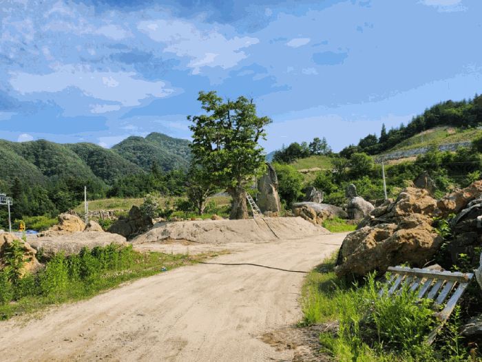충청북도 제천시 백운면 원월리 293-14 외 3필지 근린생활시설 경매 사진 58