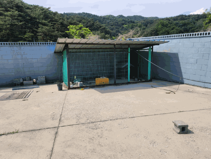 충청북도 제천시 백운면 원월리 293-14 외 3필지 근린생활시설 경매 사진 62