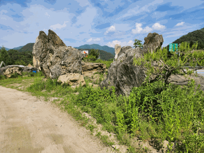 충청북도 제천시 백운면 원월리 293-14 외 3필지 근린생활시설 경매 사진 66