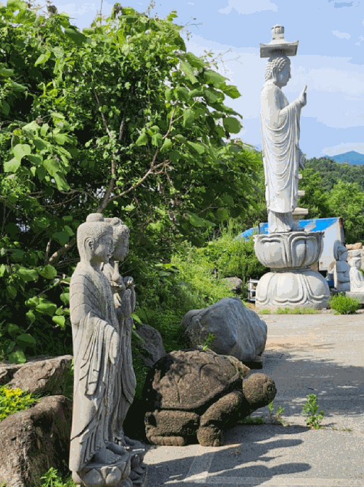충청북도 제천시 백운면 원월리 293-14 외 3필지 근린생활시설 경매 사진 72