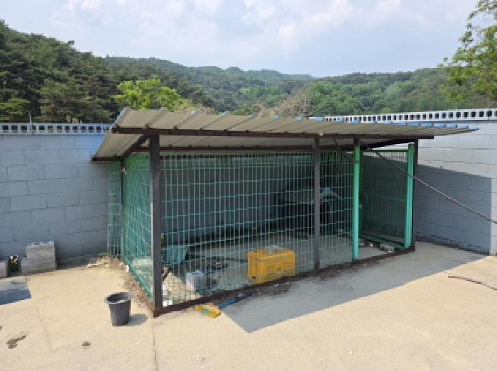 충청북도 제천시 백운면 원월리 293-14 외 3필지 근린생활시설 경매 사진 9