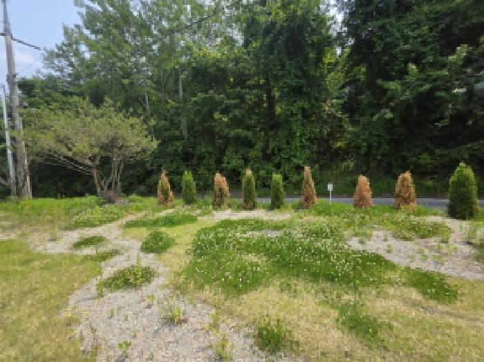 충청북도 제천시 백운면 원월리 304 외 1필지 단독주택 경매 사진 4