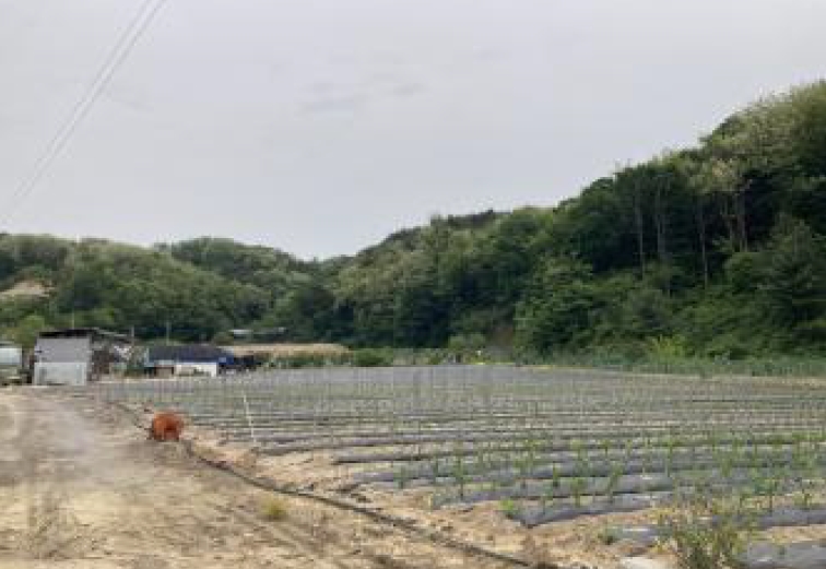 충청북도 제천시 왕암동 86-1 외 6필지 전 경매 사진 9