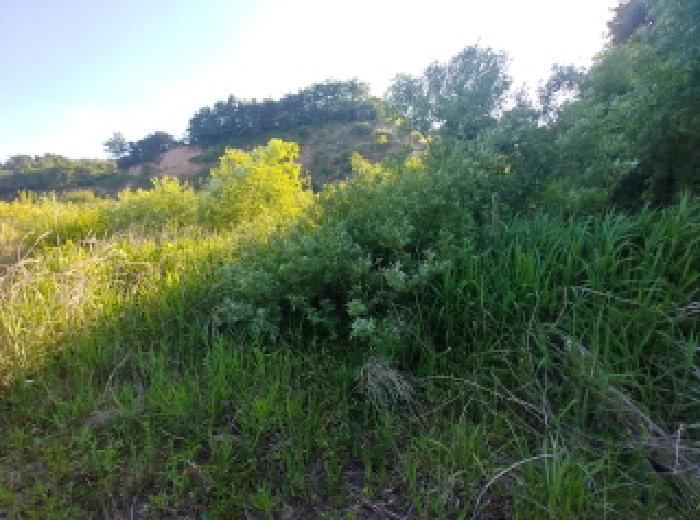 충청남도 금산군 군북면 동편리 산26-1 외 2필지 임야 경매 사진 19