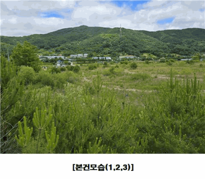 충청남도 금산군 군북면 동편리 산26-1 외 2필지 임야 경매 사진 25