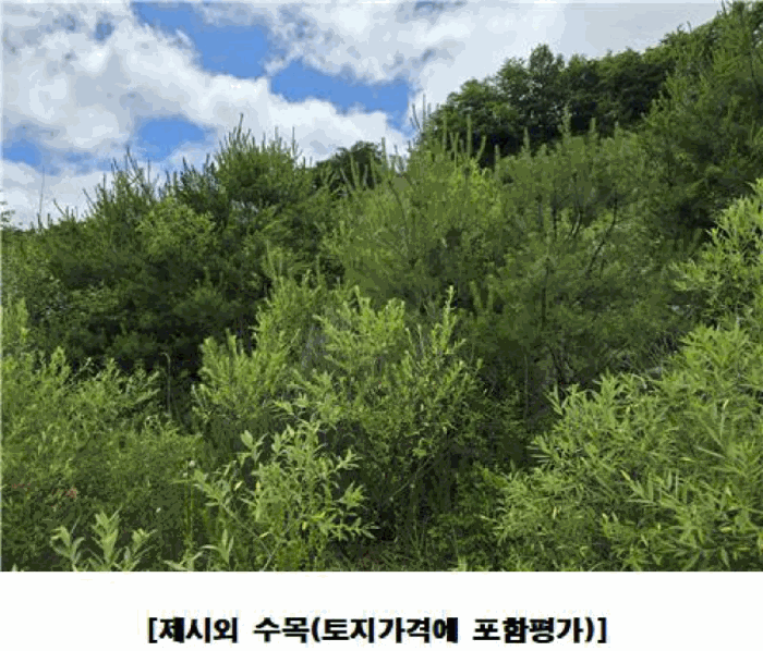 충청남도 금산군 군북면 동편리 산26-1 외 2필지 임야 경매 사진 26