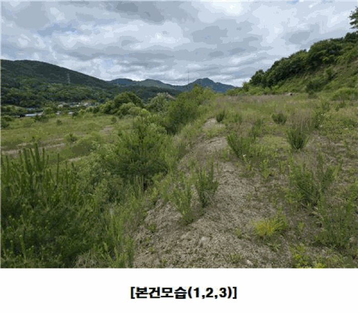 충청남도 금산군 군북면 동편리 산26-1 외 2필지 임야 경매 사진 28