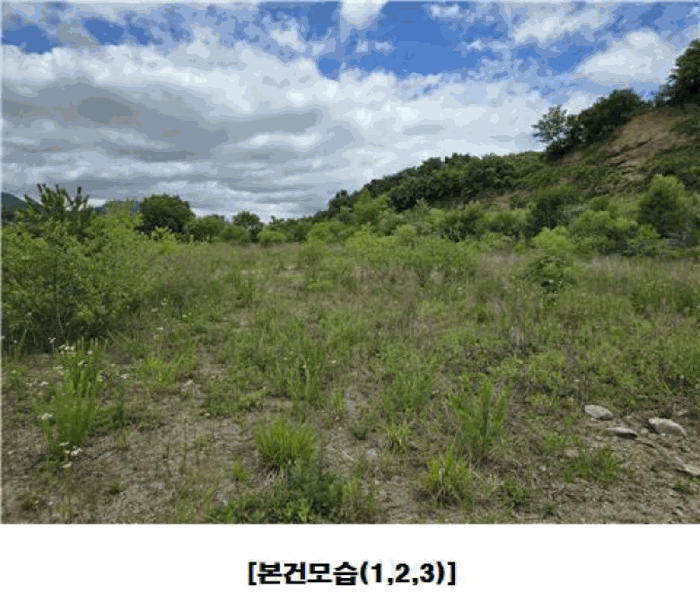 충청남도 금산군 군북면 동편리 산26-1 외 2필지 임야 경매 사진 30