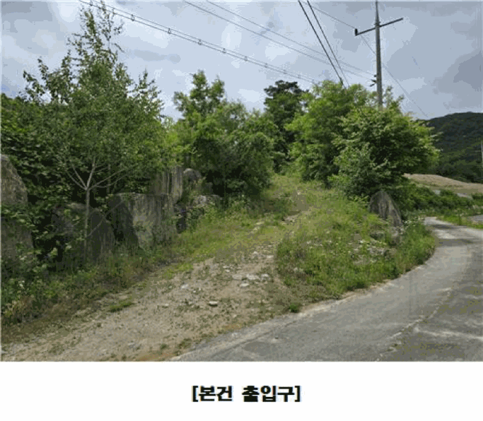충청남도 금산군 군북면 동편리 산26-1 외 2필지 임야 경매 사진 31
