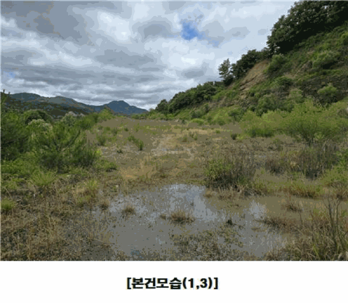 충청남도 금산군 군북면 동편리 산26-1 외 2필지 임야 경매 사진 32