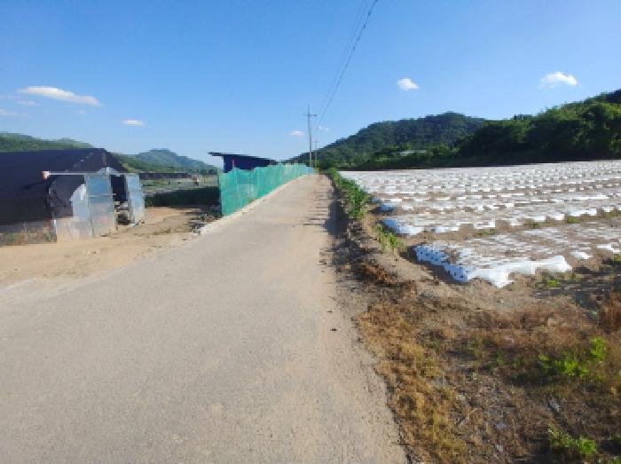 충청남도 금산군 군북면 동편리 산26-1 외 2필지 임야 경매 사진 5