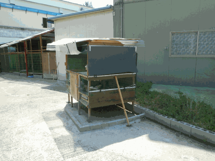 경상북도 경산시 남산면 송내리 45 외 1필지 공장 경매 사진 41