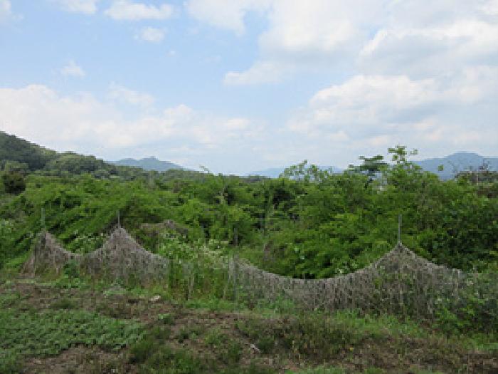 경상북도 상주시 공성면 도곡리 434 외 1필지 답 경매 사진 1