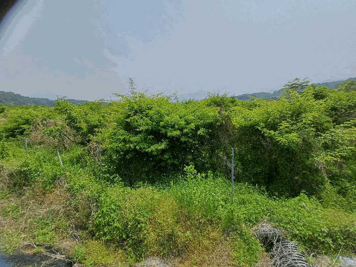 경상북도 상주시 공성면 도곡리 434 외 1필지 답 경매 사진 11
