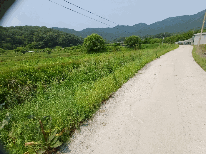 경상북도 상주시 공성면 도곡리 434 외 1필지 답 경매 사진 6