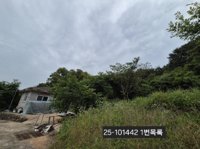 부산광역시 강서구 동선동 177 대지 경매 사진 2