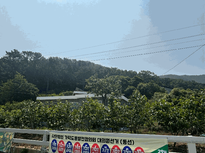 부산광역시 강서구 동선동 177 대지 경매 사진 3