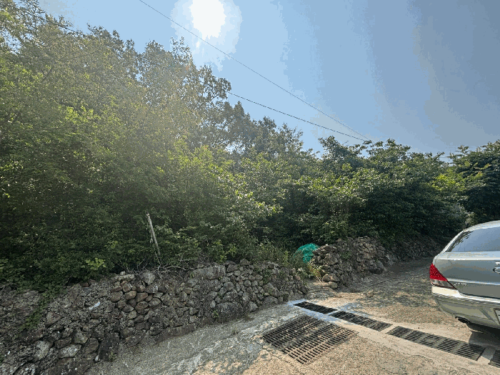 부산광역시 강서구 동선동 177 대지 경매 사진 4