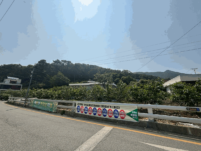 부산광역시 강서구 동선동 177 대지 경매 사진 6