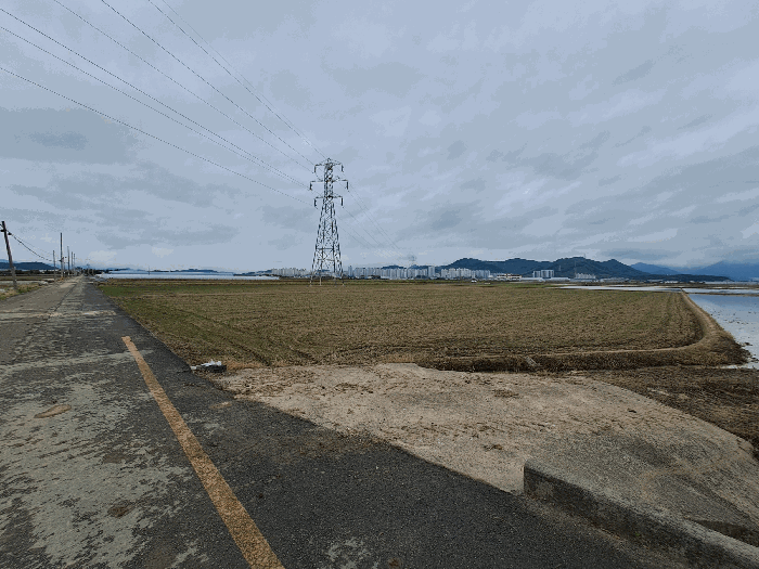 경상남도 창원시 의창구 대산면 제동리 528-7 답 경매 사진 13