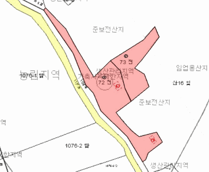 전라남도 담양군 대덕면 용대리 72 외 1필지 전 경매 사진 11