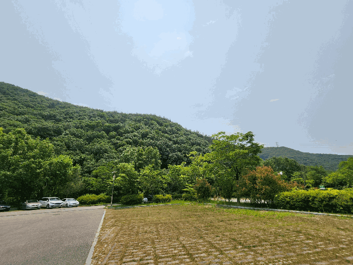광주광역시 동구 운림동 산186-1 임야 경매 사진 3