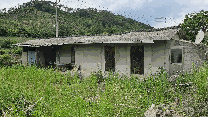 전라남도 곡성군 옥과면 합강리 540 대지 경매 사진 30