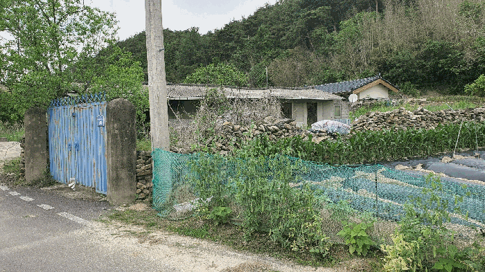 전라남도 곡성군 옥과면 합강리 540 대지 경매 사진 24