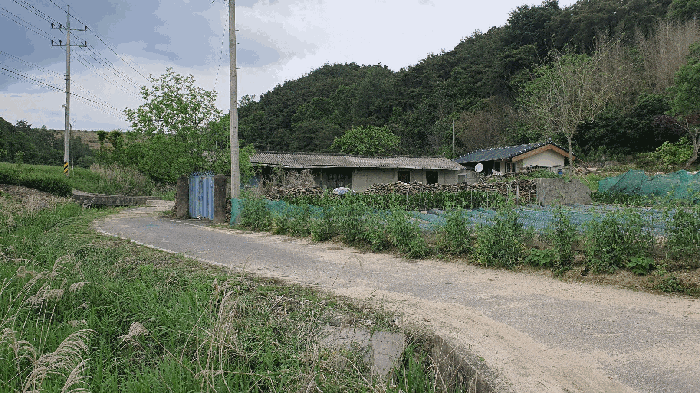 전라남도 곡성군 옥과면 합강리 540 대지 경매 사진 27