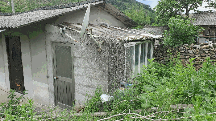 전라남도 곡성군 옥과면 합강리 540 대지 경매 사진 28