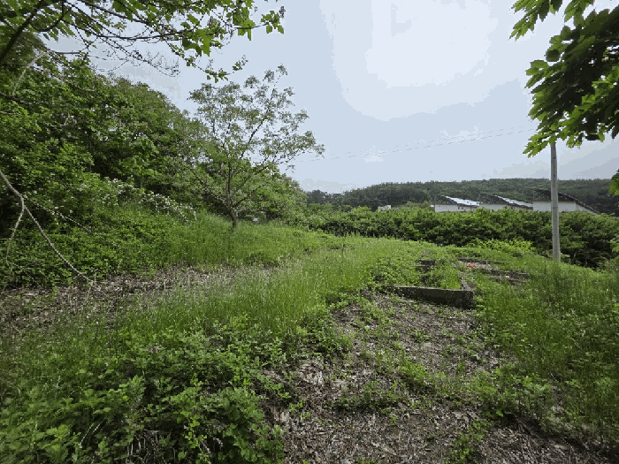 전라남도 무안군 삼향읍 왕산리 357-3 전 경매 사진 10