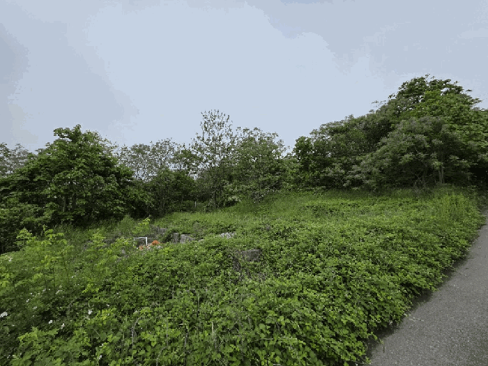 전라남도 무안군 삼향읍 왕산리 357-3 전 경매 사진 11