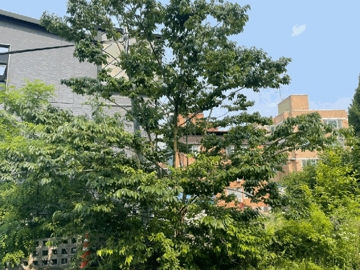 전북특별자치도 전주시 완산구 효자동3가 1324-2 외 1필지 다가구주택 경매 사진 53
