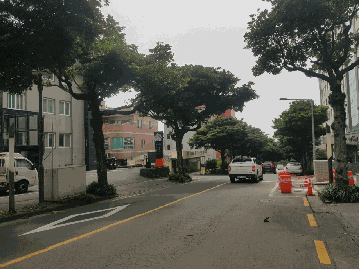 제주특별자치도 서귀포시 서귀동 316-4 외 1필지 숙박시설 경매 사진 6
