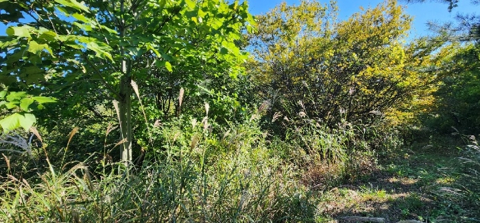 경상북도 경주시 안강읍 옥산리 1614 전 경매 사진 18