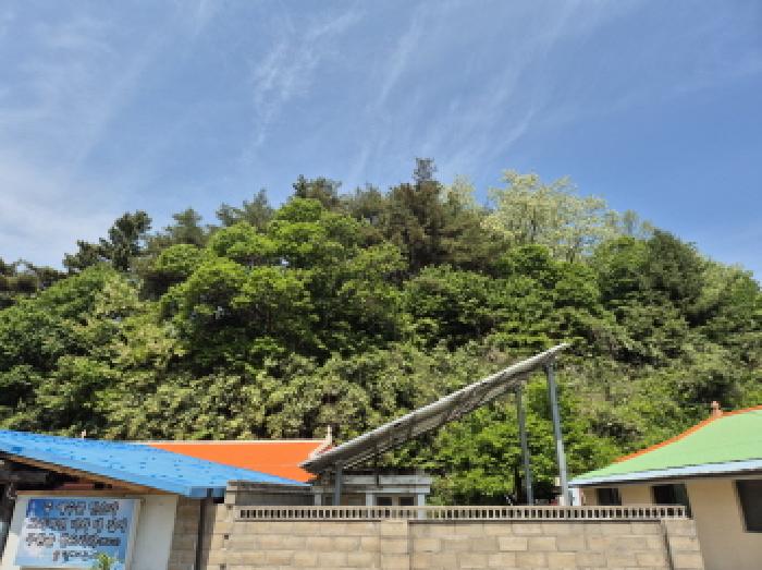강원특별자치도 고성군 거진읍 거진리 산34-4 임야 경매 사진 12