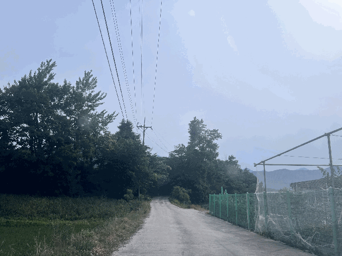강원특별자치도 속초시 노학동 510-15 외 16필지 전 경매 사진 28
