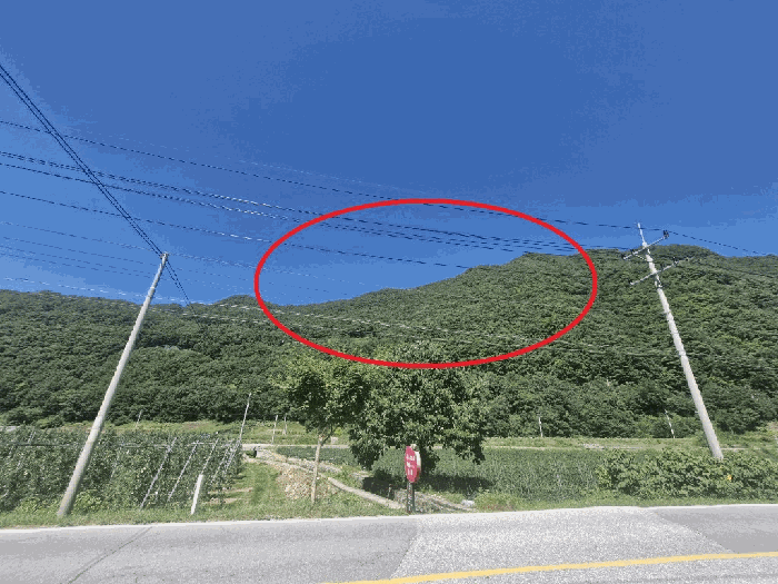 강원특별자치도 정선군 화암면 화암리 605 외 2필지 임야 경매 사진 2