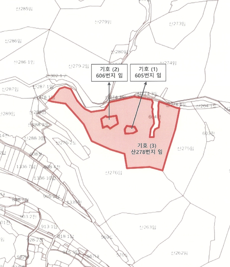 강원특별자치도 정선군 화암면 화암리 605 외 2필지 임야 경매 사진 4