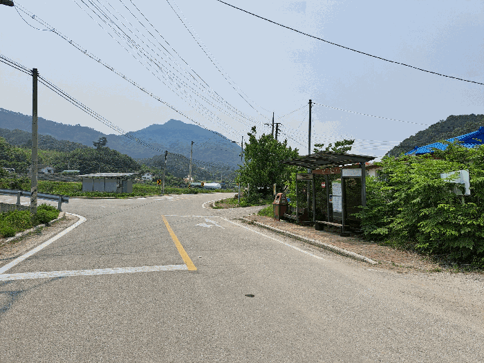충청북도 충주시 소태면 주치리 540-4 답 경매 사진 4