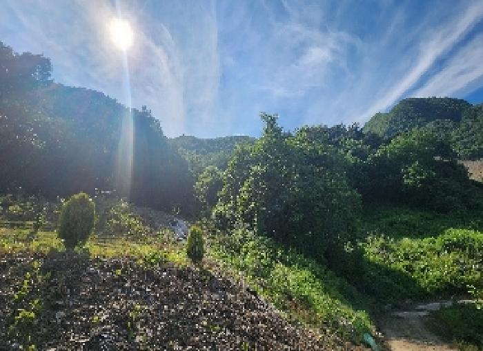 충청북도 옥천군 안내면 서대리 75-3 외 2필지 전 경매 사진 2