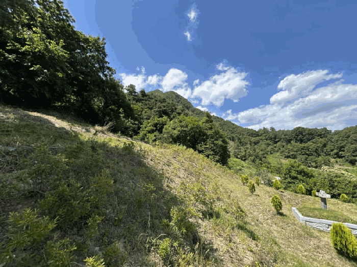 충청북도 옥천군 안내면 서대리 75-3 외 2필지 전 경매 사진 4