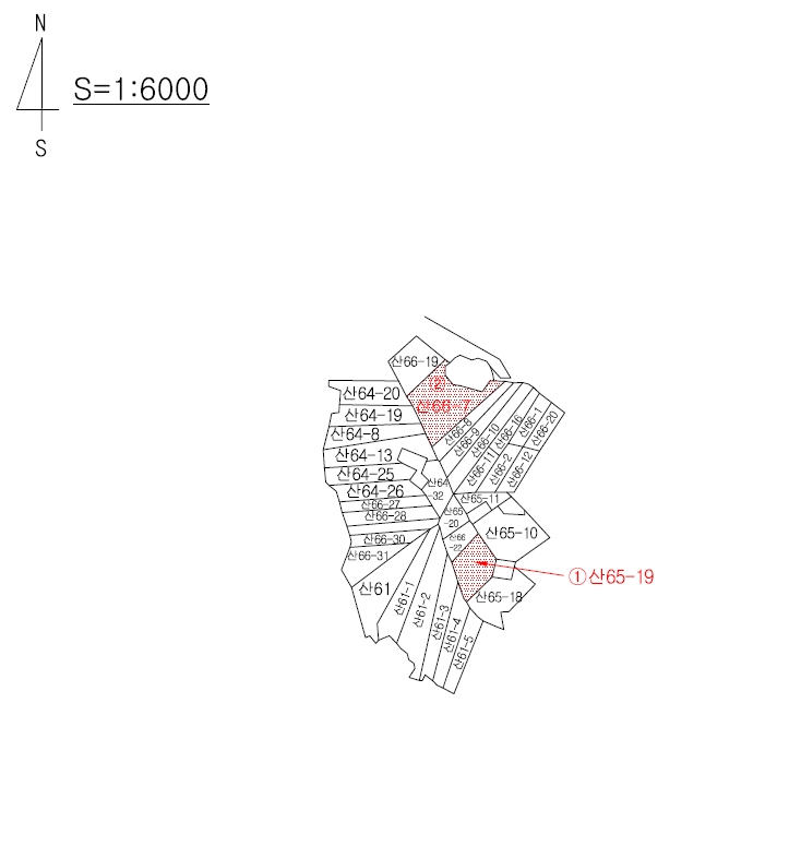 경상북도 포항시 남구 연일읍 학전리 산65-19 임야 경매 사진 19