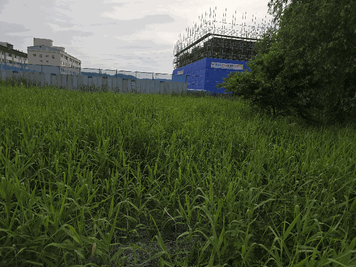 경상북도 포항시 남구 대송면 송동리 796-13 답 경매 사진 12